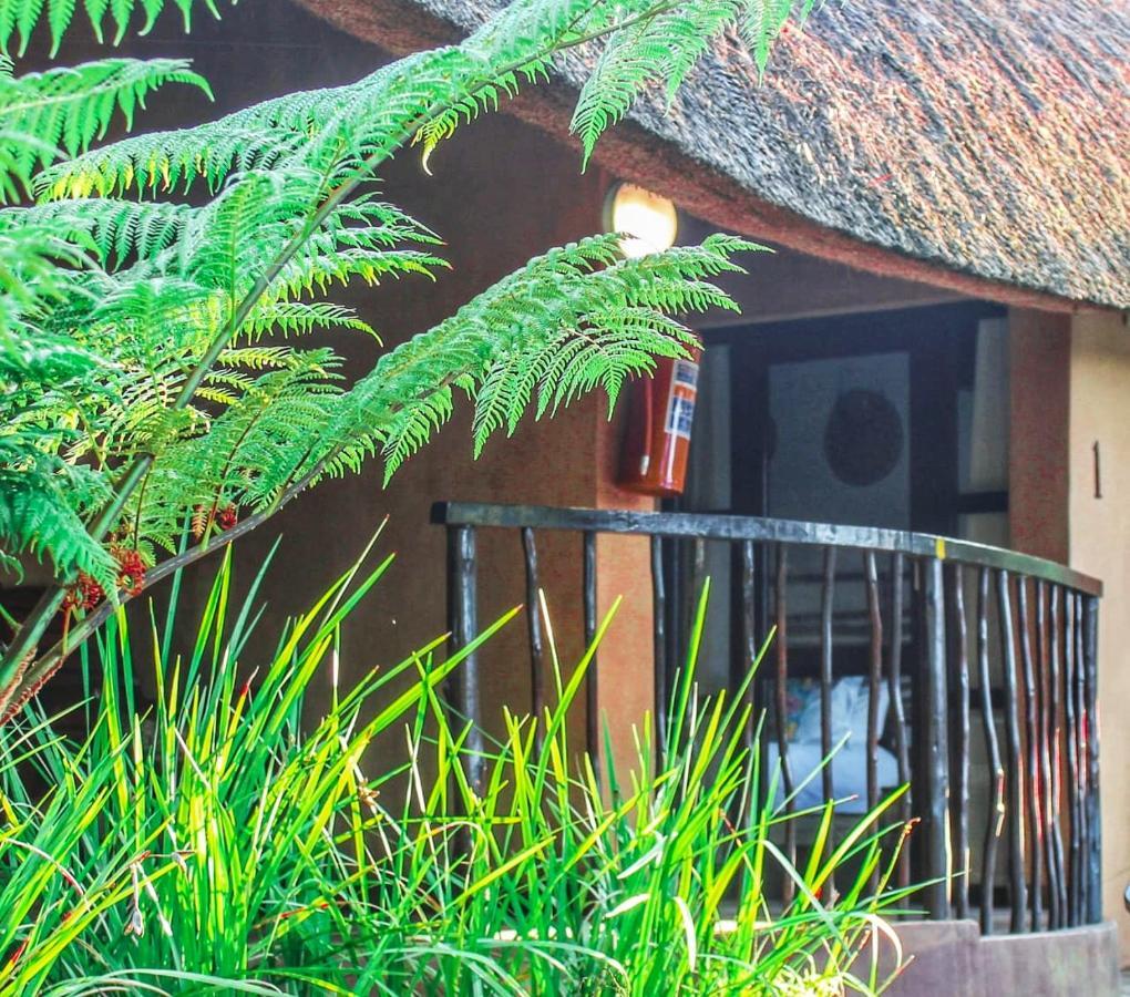 Amazulu Lodge Saint Lucia Estuary Extérieur photo